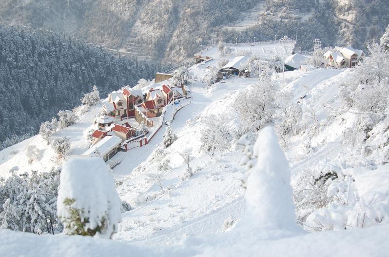 Manla Homes Resort Shimla Eksteriør billede